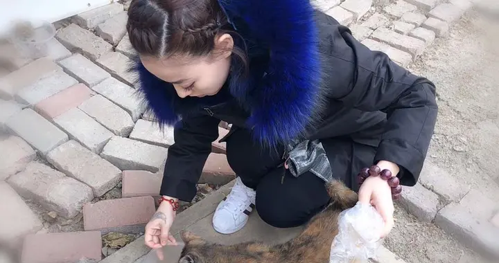 十二星座中,神秘的天蝎座为什么让人心动?