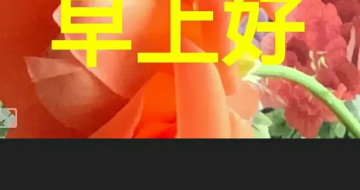 用手機怎么制作短視頻教程（用手機如何剪輯制作視頻） 用手機怎么制作短視頻教程（用手機如何剪輯制作視頻） 運營百科