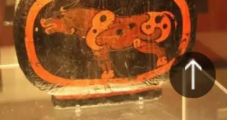 四柱八字百越(百越民族是五帝后人吗?怎么证明呢)