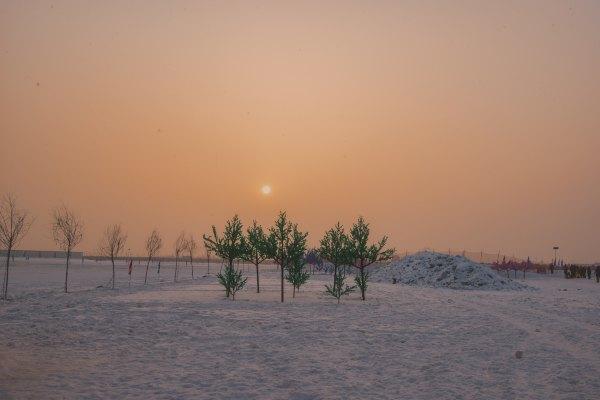 哈尔滨除了去冰雪大世界，还有个秘密基地可推荐你看冰雕（天枰男）插图6