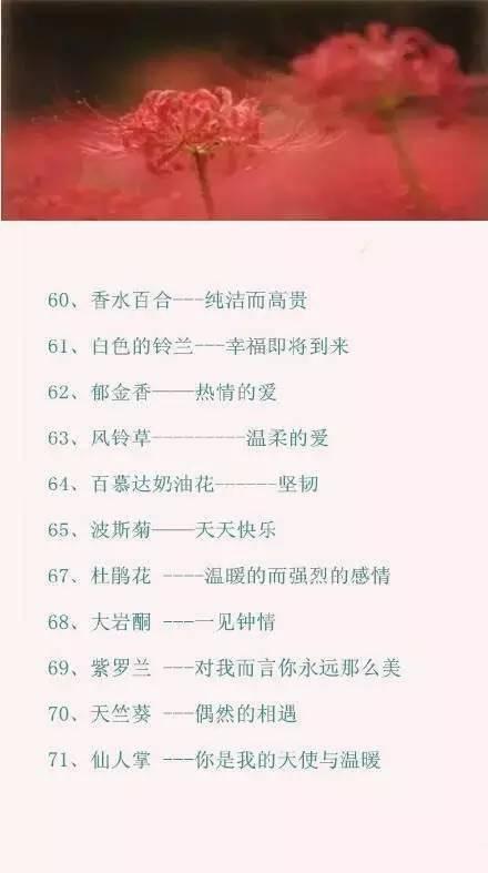 情人节送男友什么情人节攻略｜100种鲜花的花语，你肯定需要