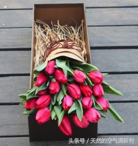 情人节送男朋友什么礼物七款情人节表达爱意的花束推荐，最后一种很有创意
