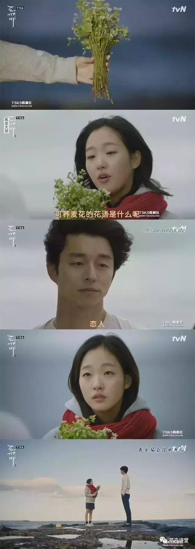 情人节送闺蜜什么礼物情人节，除了玫瑰花你还能送啥花