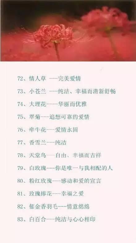 情人节送男友什么情人节攻略｜100种鲜花的花语，你肯定需要