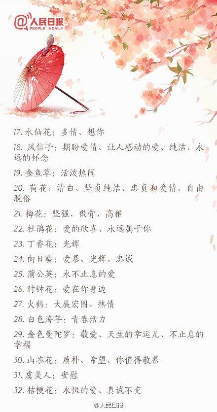 情人节送礼物2016情人节送花必备：100种鲜花花语大全