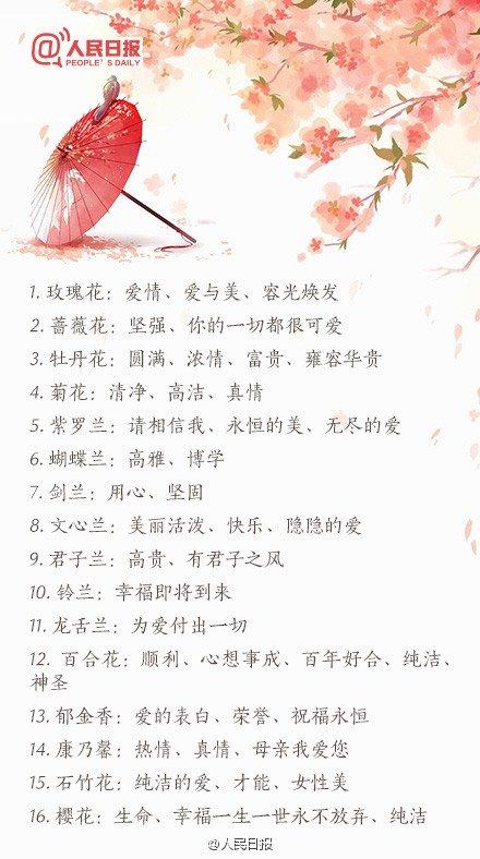 情人节送礼物2016情人节送花必备：100种鲜花花语大全