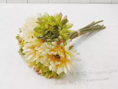 老婆生日送什么花多少朵,老婆46岁生日送什么花最好