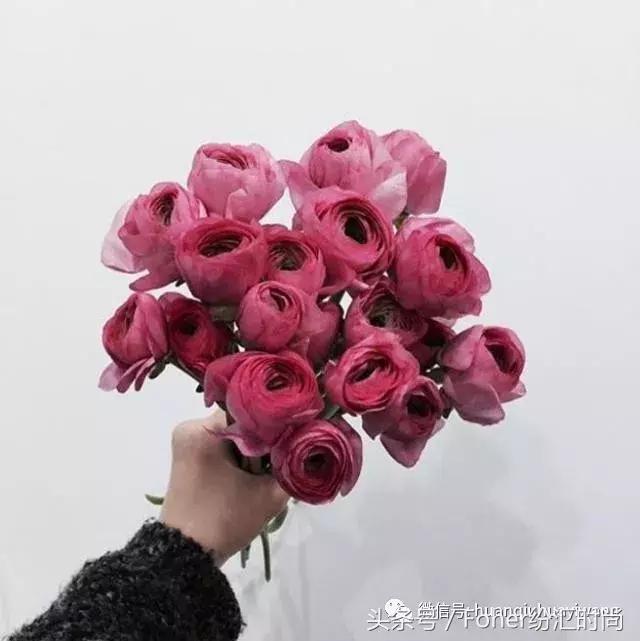 七夕送女朋友什么礼物好最有意义2018情人节送花攻略，比送玫瑰强一万倍~