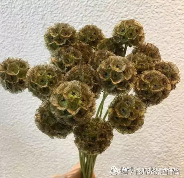 七夕送女朋友什么礼物好最有意义2018情人节送花攻略，比送玫瑰强一万倍~