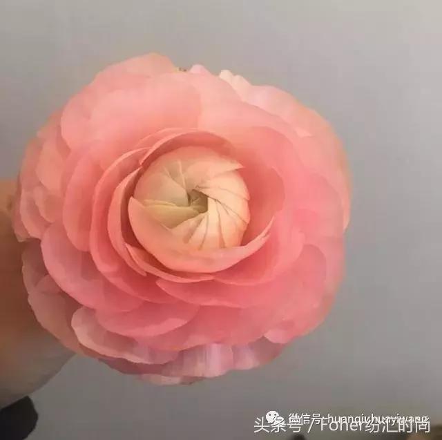 七夕送女朋友什么礼物好最有意义2018情人节送花攻略，比送玫瑰强一万倍~