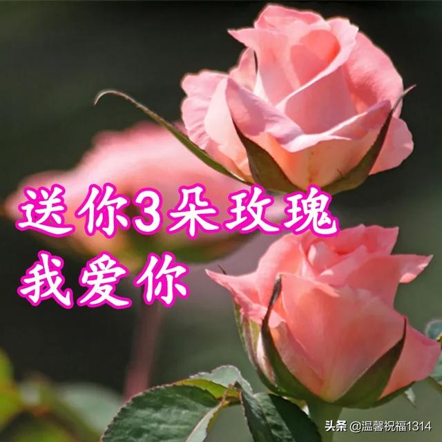 情人节送什么3.14白色情人节到了，送你1314朵玫瑰！祝爱情甜蜜，幸福久久