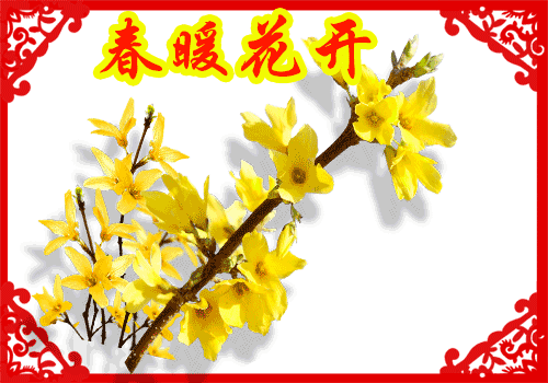 情人节送什么礼物今日情人节，太漂亮了，发到群里，朋友们会爱死你的