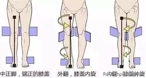 小S跳舞長腿太驚艷，還在被假胯寬拖累？如何高效瘦腿自信穿？ 健身減肥達人 第17张