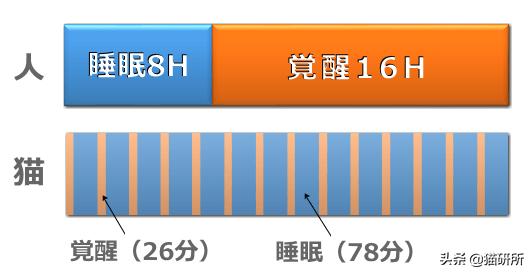 梦见上课 梦见老鼠插图8