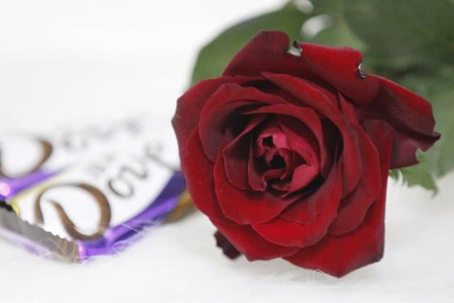 情人节送什么礼物好七夕节送礼指南：巧克力、口红、珠宝、花……听听他们怎