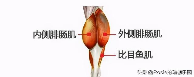 「仙劍三美」齊聚，唐嫣長腿搶鏡，超模私教帶你3步get同款美腿 健身減肥達人 第17张