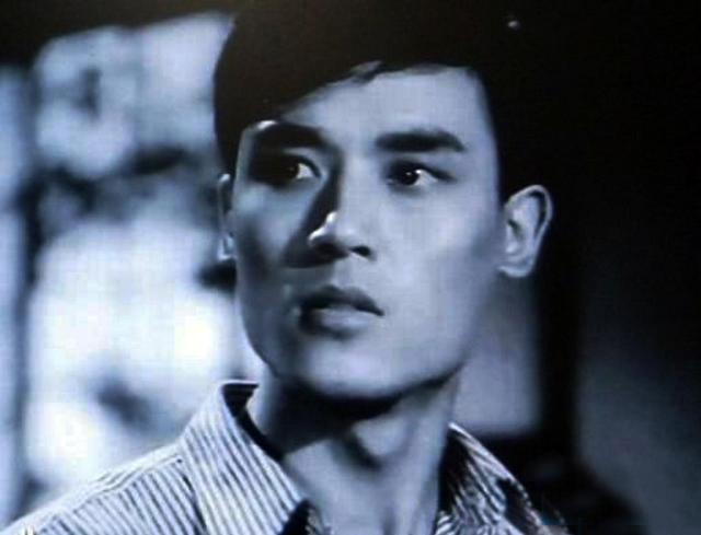 中国十大帅哥有哪几位（长得帅气质硬的十位男星）