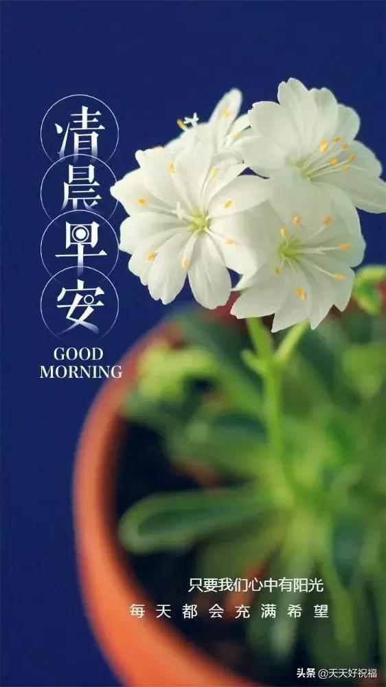 微信群发最受欢迎的早上好正能量语 早安问候语祝福图片分享