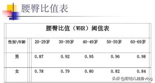 腰臀比為0.7的女性最有吸引力？腰線上升，改變比例 健身減肥達人 第2张