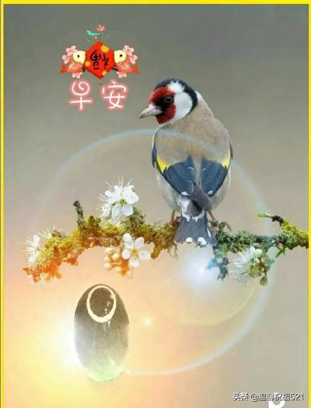 微信群发早上好阳光暖心问候祝福语大全，早上好问候表情图片动态