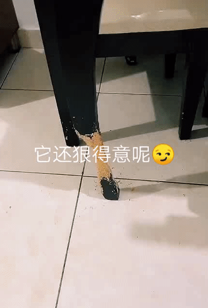 笑死我了，第一次坐船，沒想到服務那麼好，還有麵包發 搞笑整蠱 第10张