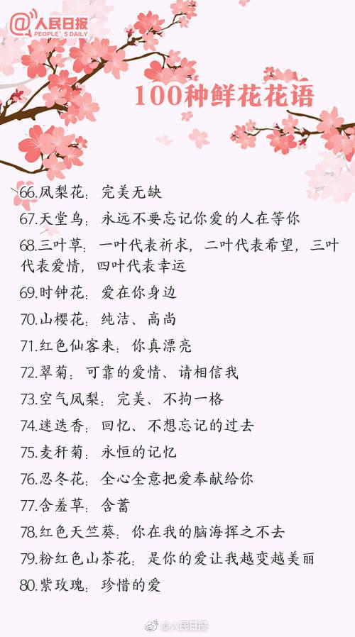 情人节该送什么礼物100种鲜花的花语，情人节送花就用它，转发买花收花都用得