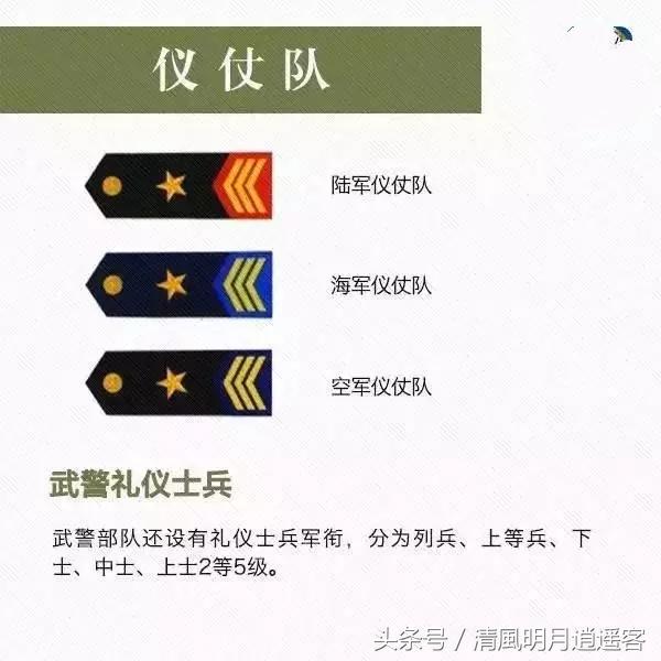 技术军官与行政军官肩章（军衔对应的军职肩章）