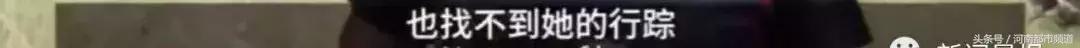 怀孕奶牛不小心跨过国界，回国时以“非法移民”被判死刑！