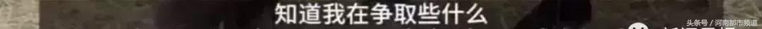 怀孕奶牛不小心跨过国界，回国时以“非法移民”被判死刑！