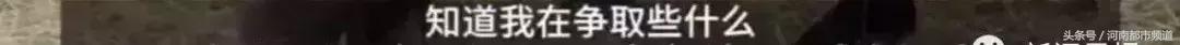 怀孕奶牛不小心跨过国界，回国时以“非法移民”被判死刑！