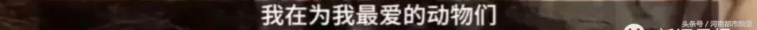 怀孕奶牛不小心跨过国界，回国时以“非法移民”被判死刑！