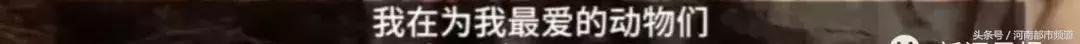 怀孕奶牛不小心跨过国界，回国时以“非法移民”被判死刑！