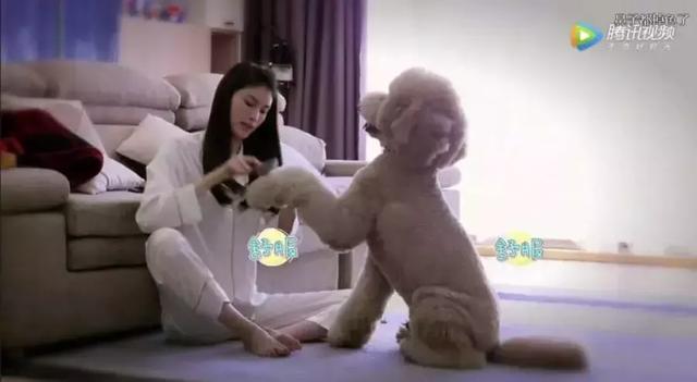 七夕礼物精选，送女朋友什么不再是个难题 七夕送女朋友什么礼物