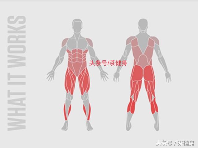 全民健身大作戰，9個動作虐爆你的核心，讓你變得更快更強壯 健身減肥達人 第13张