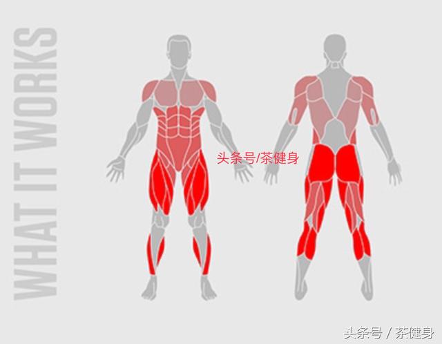 9個徒手高強度全身訓練動作，暴汗燃脂瘦身，提高心肺有氧能力 健身減肥達人 第13张