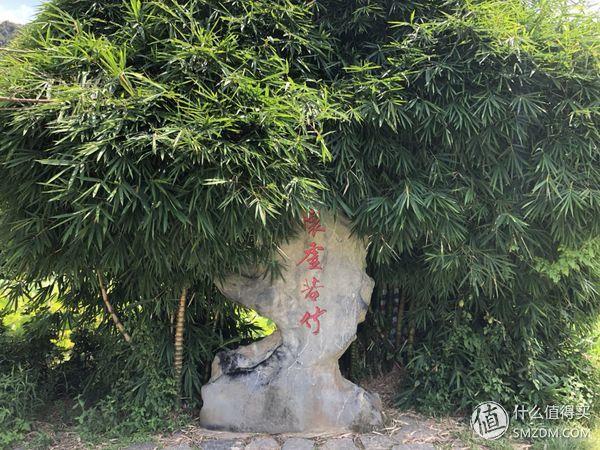 情人节送女生什么年年過節，最好的情人節的禮物到底是什麼？