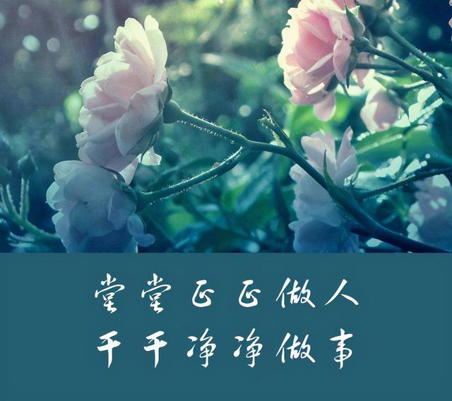 送男领导的礼物排行榜,送女领导比较高端的礼物