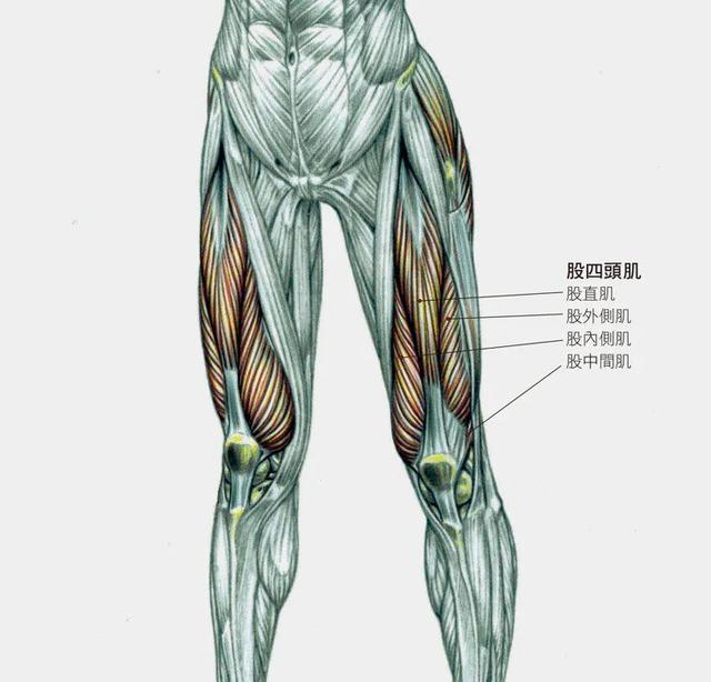 跳繩對膝關節有什麼影響？有人每天跳繩1000下，結果「廢了」 健身減肥達人 第11张