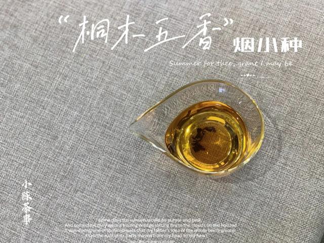 與滇紅、祁門紅茶、九曲紅梅相比，煙小種紅茶，是種什麼樣的茶？ - 天天要聞
