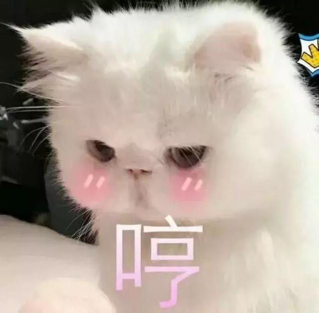 情人节送女孩礼物我问了10个女生情人节最想收什么礼物，9个都选了它！