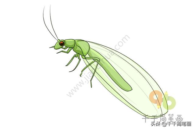 昆虫儿童画简笔画图片儿童昆虫图画简笔画