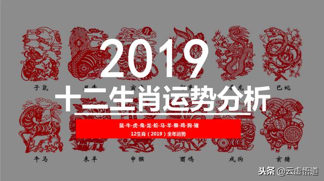 十二生肖运势详解(2019年十二生肖运势详解)插图