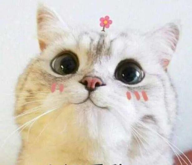 微信语音为何不能转发？小心盗取语音的新骗术！