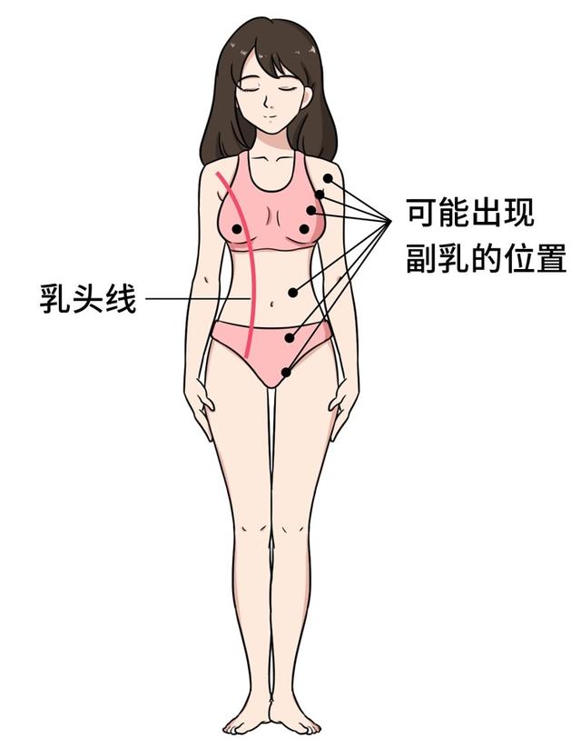 女人胸部长毛毛，有没有问题？15条女性生理知识，男女都该知道 七夕送什么礼