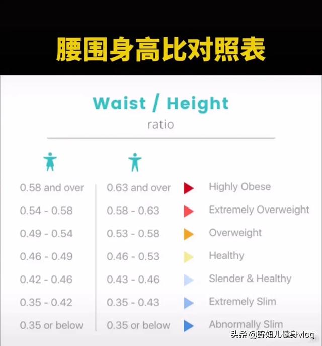 腰臀比為0.7的女性最有吸引力？腰線上升，改變比例 健身減肥達人 第3张