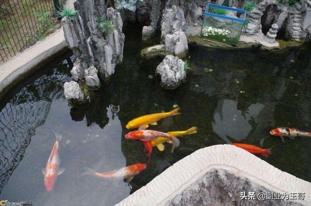 做微商可以赚钱吗?这些在微商业务流程中挣钱的人的方式有什么?