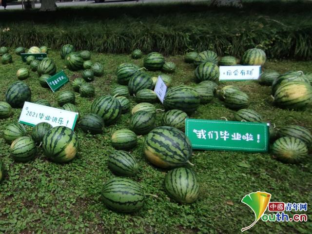 有意义的毕业纪念品,适合高中生的礼物激励