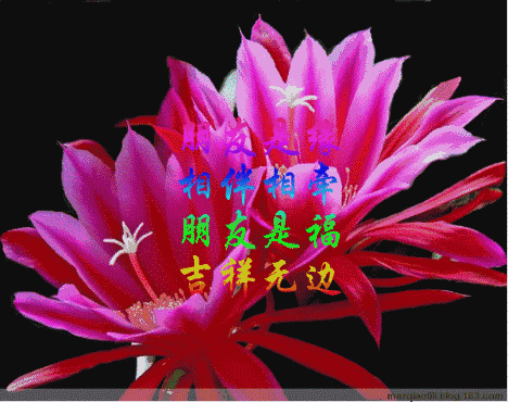 七夕送什么礼物好今日情人节，2.14玫瑰送给亲爱的朋友，祝你们情人节快乐