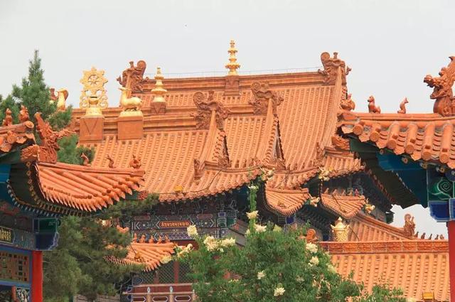 胡黄白柳灰五仙，东北人供奉的“胡黄白柳灰”5位大仙都是啥（民间五大仙家“狐黄白柳灰”）