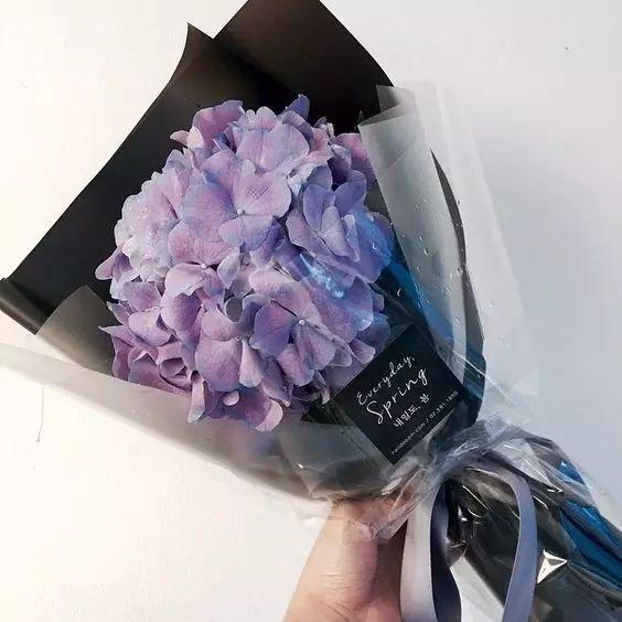 情人节都送什么礼物置爱 – 除了玫瑰，情人节还可以送什么花？